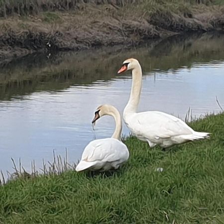 Delightful Cottage On The River Adur Close To Brighton & The Downs No Dogs Sorry Upper Beeding Экстерьер фото