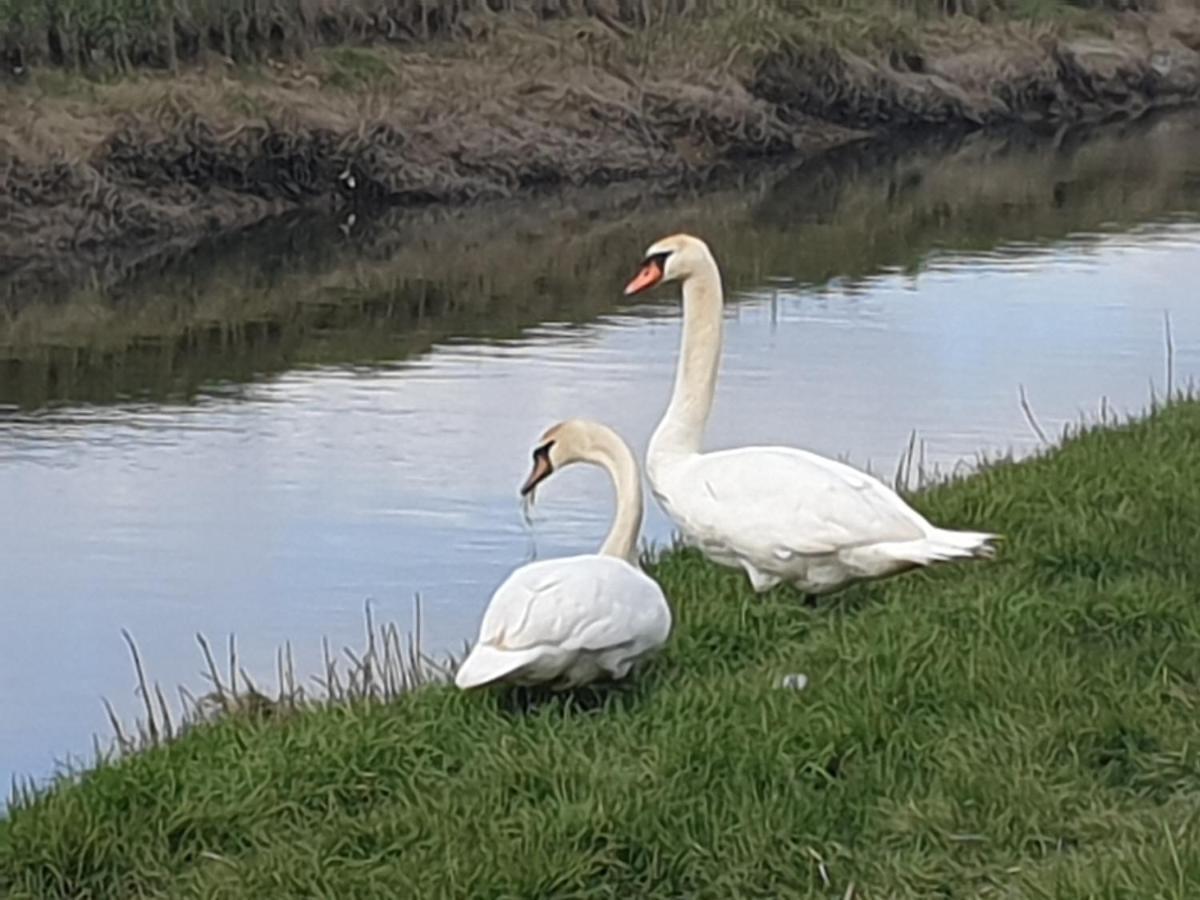 Delightful Cottage On The River Adur Close To Brighton & The Downs No Dogs Sorry Upper Beeding Экстерьер фото
