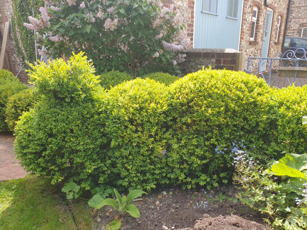 Delightful Cottage On The River Adur Close To Brighton & The Downs No Dogs Sorry Upper Beeding Экстерьер фото